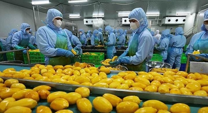 Vietnam eyes 8 billion USD in fruit, vegetable export value in 2025