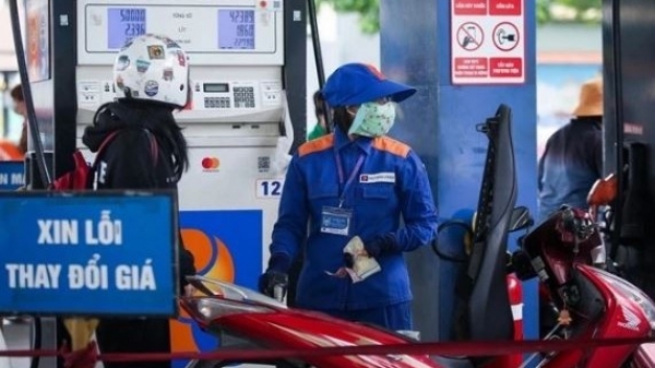 Gasoline prices will not fluctuate much in 2025: expert