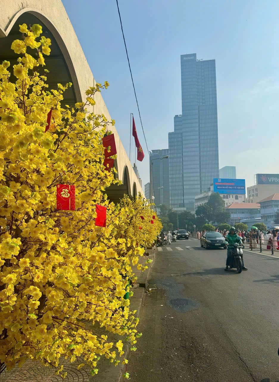 TP. Hồ Chí Minh: Người dân nô nức “lên đồ” chụp ảnh tết TP. Hồ Chí Minh: Người dân nô nức “lên đồ” chụp ảnh tết