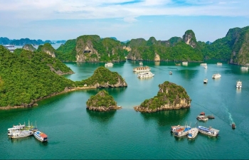 Chỉ số sản xuất công nghiệp của Quảng Ninh trong tháng 5 tăng mạnh