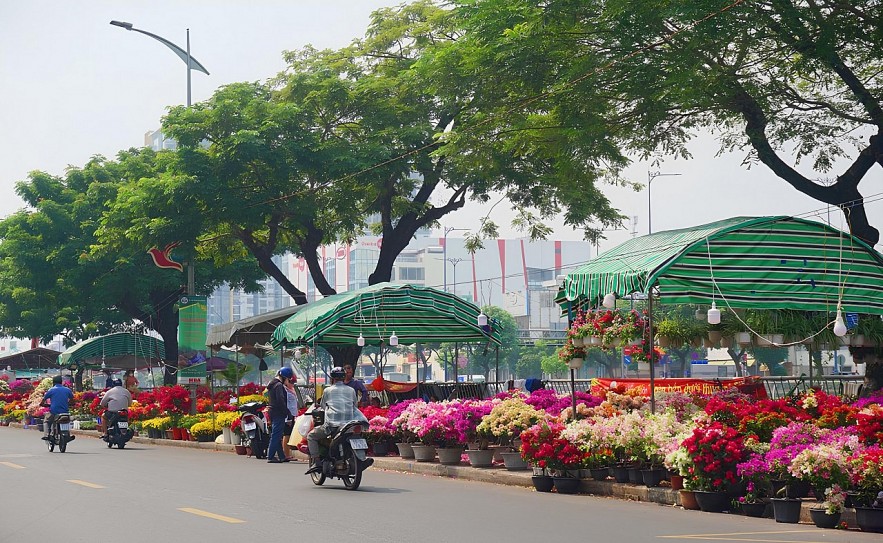 TP. Hồ Chí Minh: Chợ hoa “trên bến dưới thuyền” nhộp nhịp đón xuân 2025