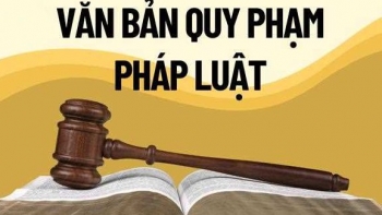 Người đứng đầu có thể bị truy cứu trách nhiệm hình sự nếu ban hành văn bản trái pháp luật