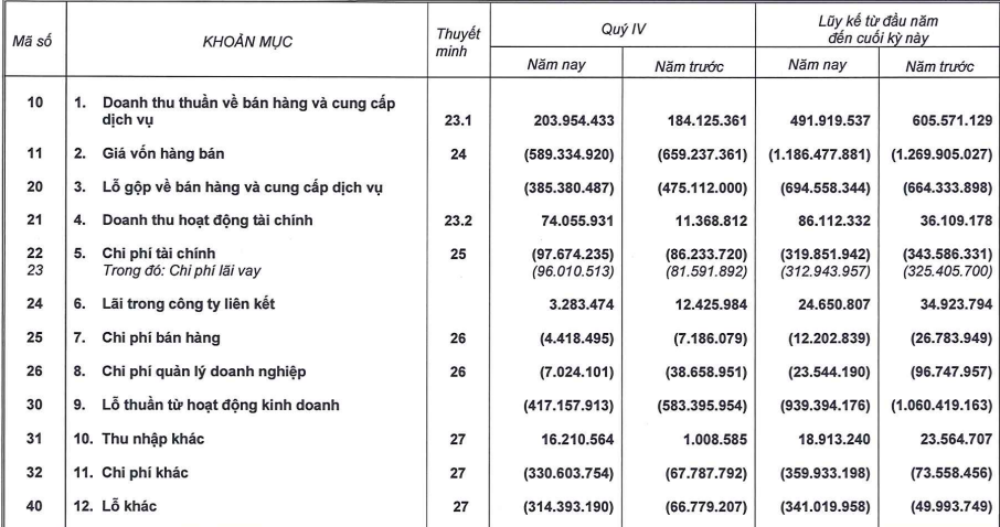 HAGL Agrico lỗ trước thuế hơn 1.200 tỷ đồng năm 2024