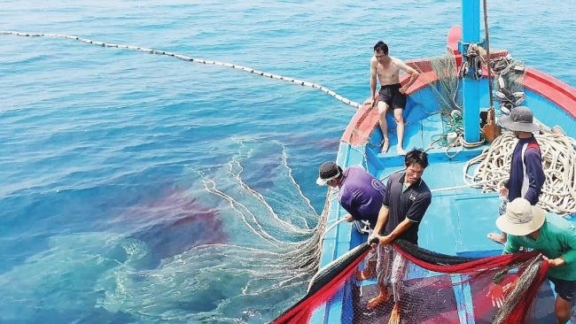 Gỡ khó, khơi thông tín dụng ưu đãi hỗ trợ ngư dân vươn khơi bám biển