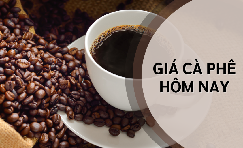 Ngày 7/2: Giá cà phê và hồ tiêu tiếp tục tăng cao Ngày 7/2: Giá cà phê và hồ tiêu tiếp tục tăng cao