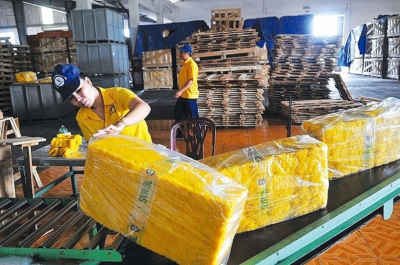Ngày 8/2: Giá cao su trong nước ổn định, hồi phục tại thị trường Trung Quốc