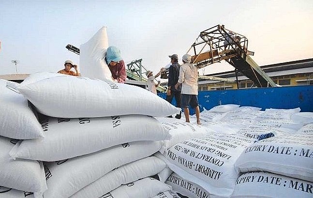 Ngày 9/2: Giá gạo nguyên liệu tăng nhẹ, gạo xuất khẩu xuống đáy 9 năm