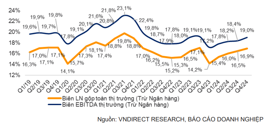 Cổ phiếu vốn hoá lớn dẫn dắt tăng trưởng lợi nhuận quý IV/2024