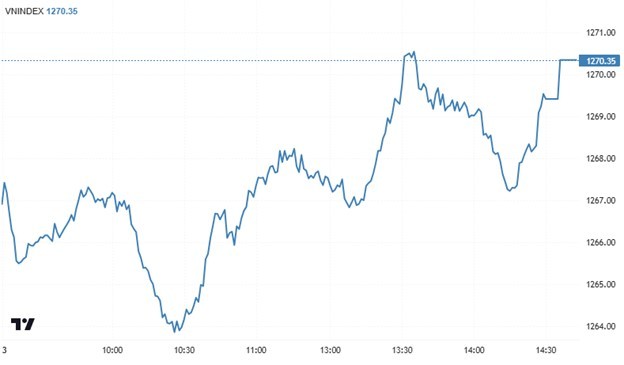 Chứng khoán ngày 13/2: Dòng tiền hướng vào nhóm vốn hóa vừa và nhỏ, VN-Index lấy lại mốc 1.270 điểm