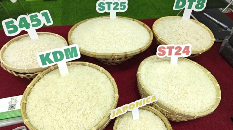 Ngày 16/2: Giá gạo tại Đồng bằng sông Cửu Long giảm mạnh, lúa tươi vững giá