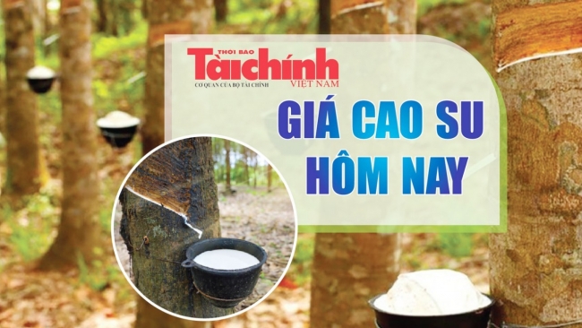 Ngày 28/2: Giá cao su trên sàn SHFE đảo chiều giảm mạnh