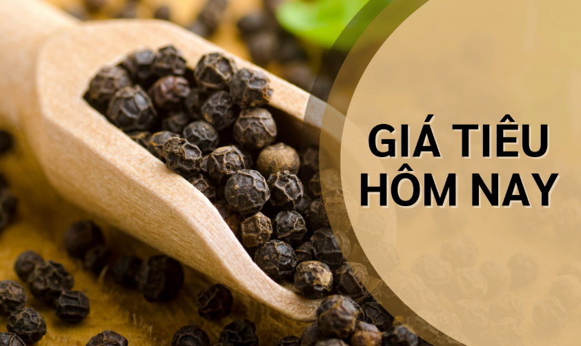 Ngày 8/3: Giá cà phê tiếp đà giảm mạnh, hồ tiêu Ngày 8/3: Giá cà phê tiếp tục giảm sâu, hồ tiêu duy trì đà tăng