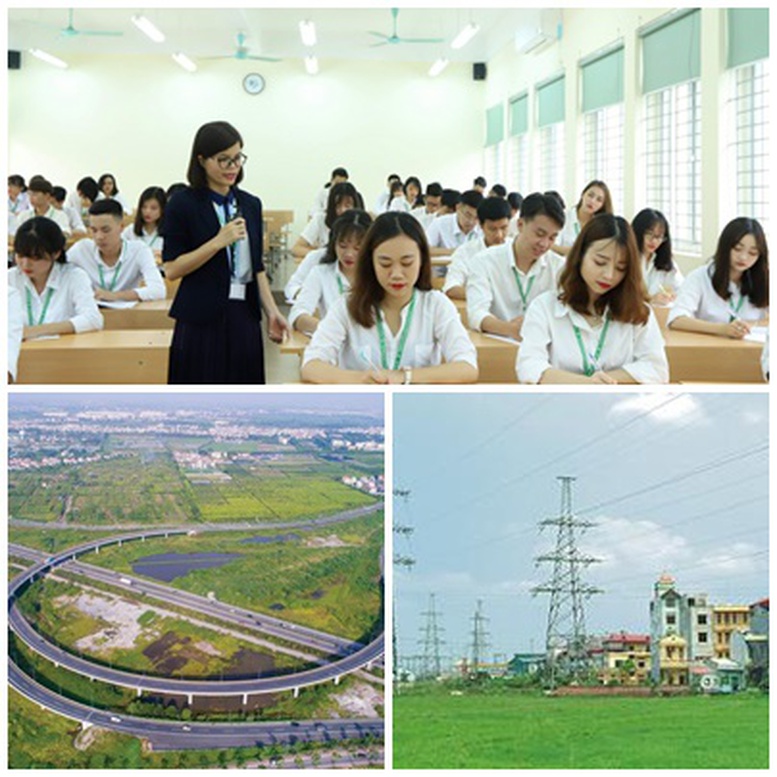 Chỉ đạo, điều hành của Chính phủ, Thủ tướng Chính phủ nổi bật tuần từ 1-7/3/2025- Ảnh 1.