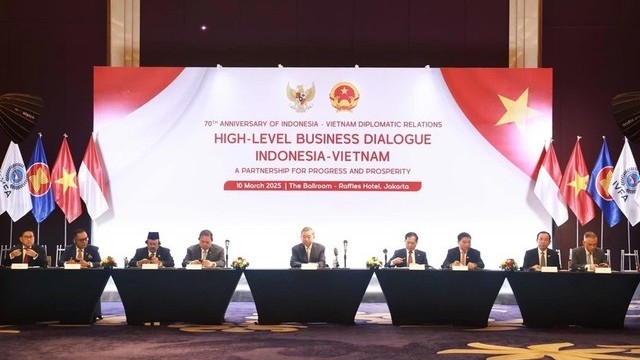 Party leader attends Viet Nam-Indonesia high-level business dialogue