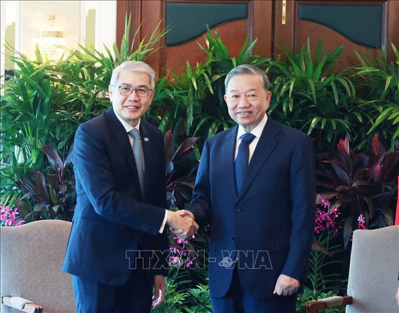 Tổng Bí thư Tô Lâm tiếp các doanh nghiệp tiêu biểu tại Singapore- Ảnh 6. Tổng Bí thư Tô Lâm tiếp các doanh nghiệp tiêu biểu tại Singapore- Ảnh 6.