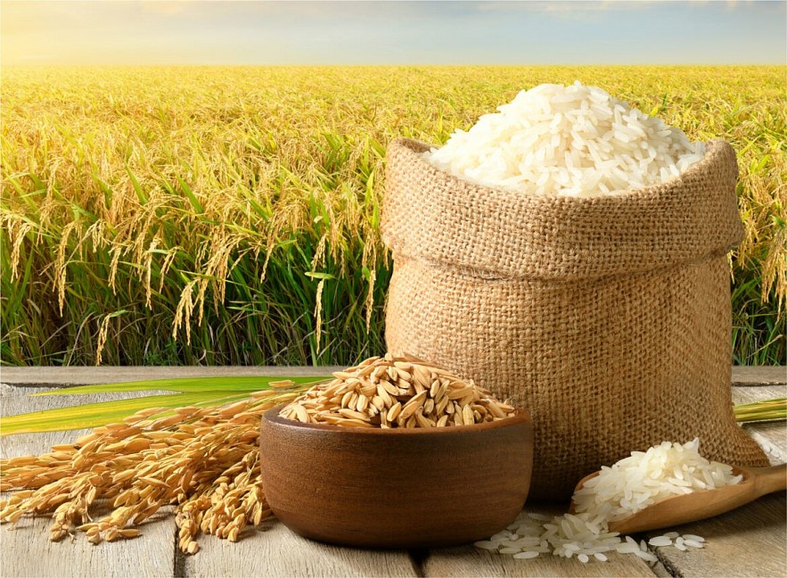 Ngày 18/3: Giá lúa tại Đồng bằng sông Cửu Long có xu hướng tăng, gạo ổn định
