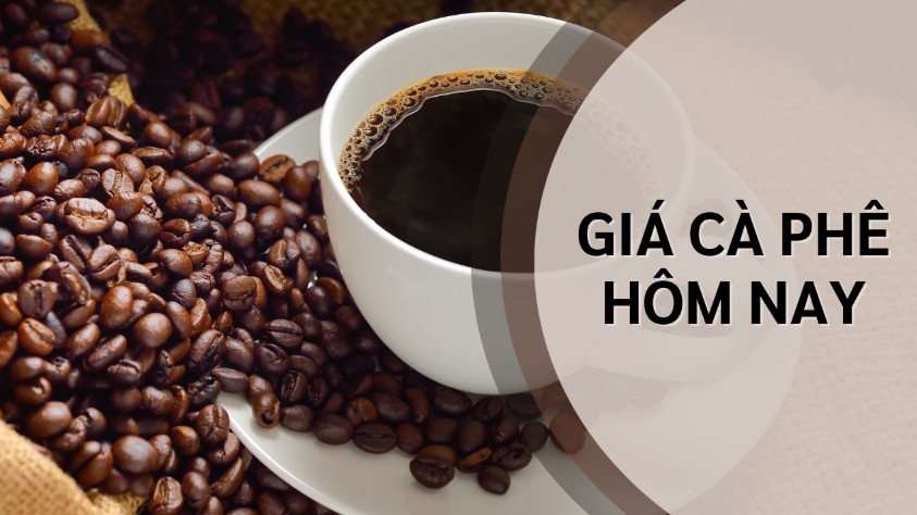 Ngày 20/3: Giá cà phê neo ở mức cao, hồ tiêu quay đầu giảm