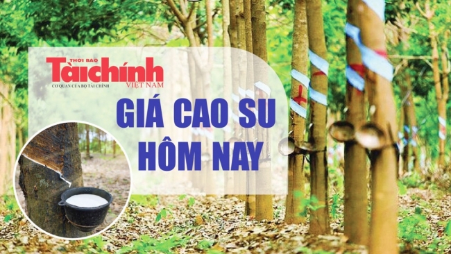 Ngày 24/3: Giá cao su thế giới biến động trái chiều, trong nước ổn định