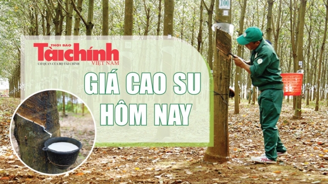 Ngày 25/3: Giá cao su thế giới khởi sắc, trong nước đứng yên