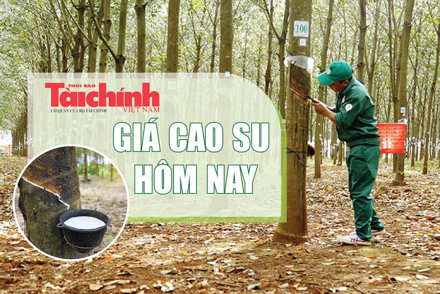 Ngày 25/3: Giá cao su thế giới khởi sắc, trong nước đứng yên