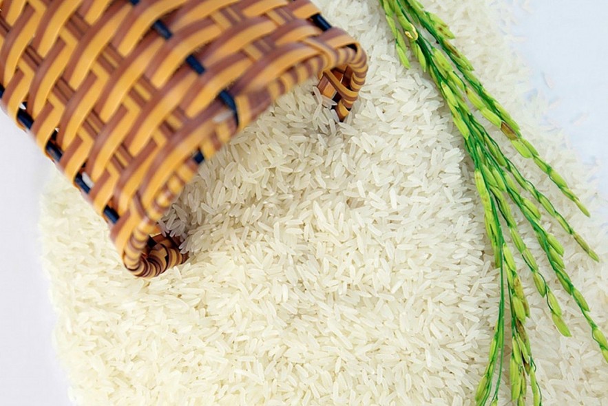 Ngày 25/3: Giá gạo tại Đồng bằng sông Cửu Long đảo chiều giảm, lúa chững giá