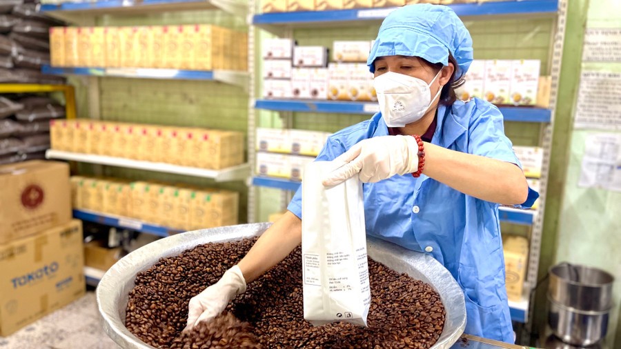 Ngày 6/4: Giá cà phê tiếp đà giảm, hồ tiêu bật tăng trở lại