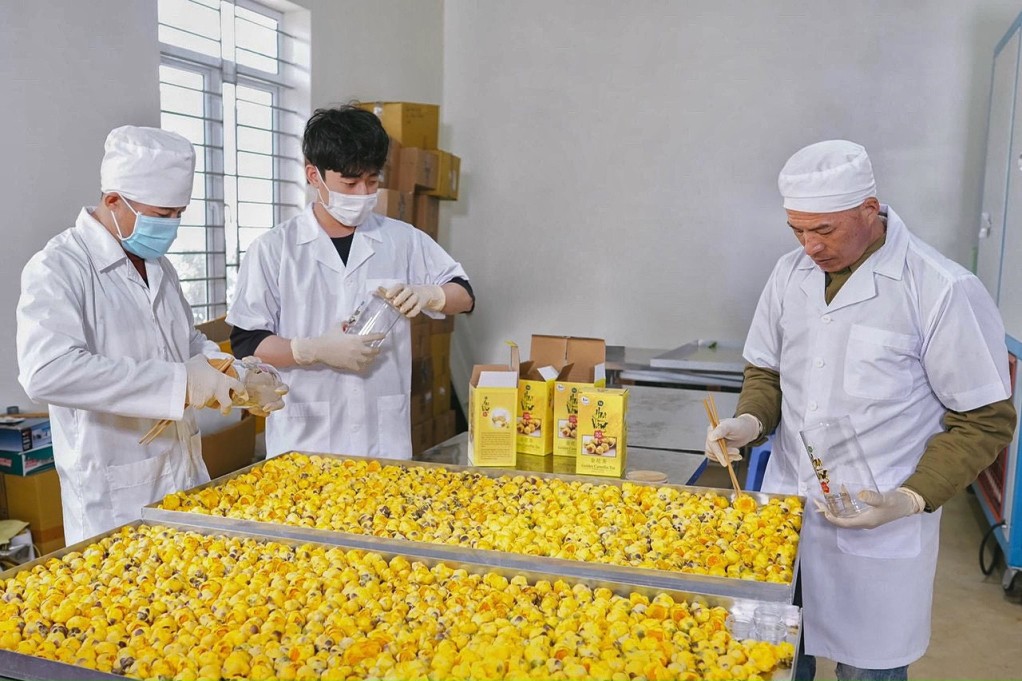 Quảng Ninh với chiến lược phát triển nông nghiệp công nghệ cao