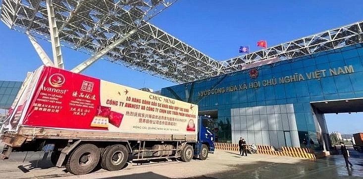 Vietnam-China economic and trade cooperation maintains strong growth momentum