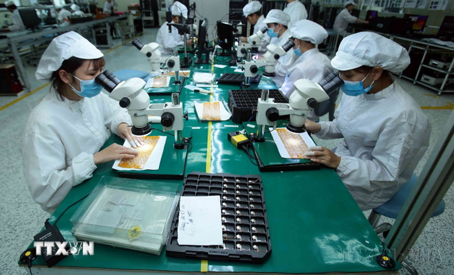 ttxvn-thu-tuong-pham-minh-chinh-chu-tri-phien-hop-chinh-phu-thuong-ky-thang-3-nam-2025-7956349-7.jpg