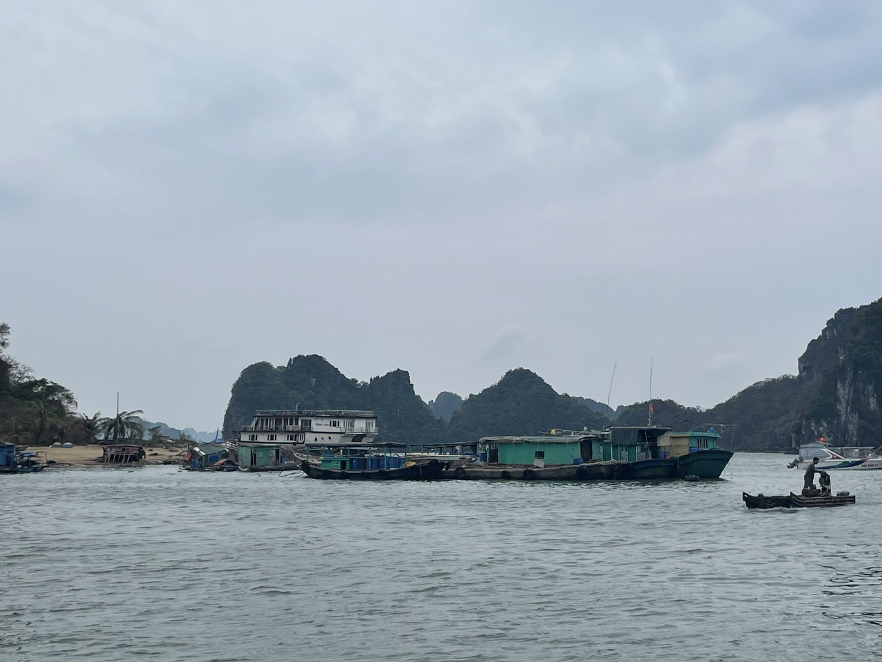 Quảng Ninh hướng đến phát triển ngành thủy sản bền vững Quảng Ninh hướng đến phát triển ngành thủy sản bền vững