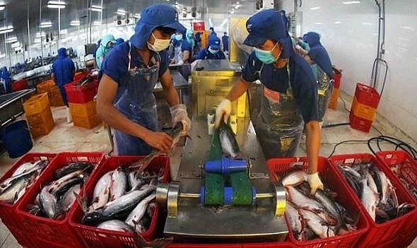 World Bank forecasts Vietnam's GDP growth at 5.8% in 2025