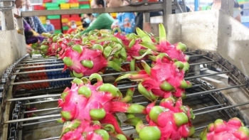 Overseas Vietnamese help Vietnamese products go global