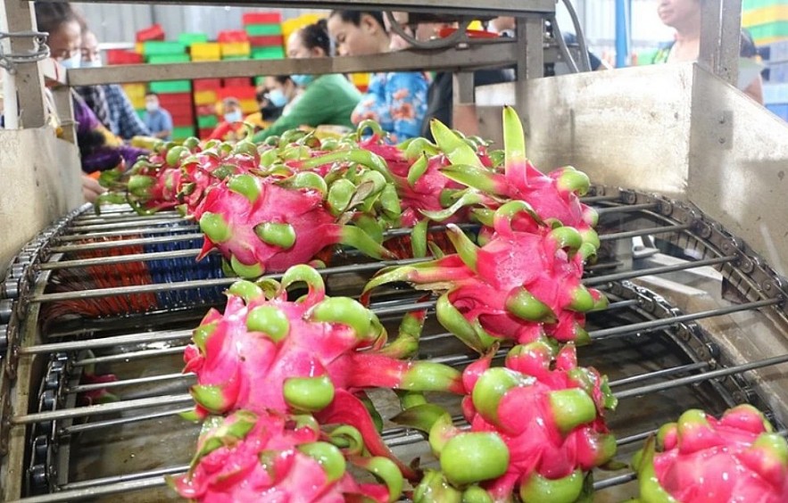 Overseas Vietnamese help Vietnamese products go global