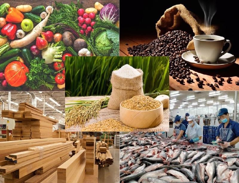 3 kịch bản dự báo cho ngành nông lâm thủy sản Việt Nam trong năm 2025