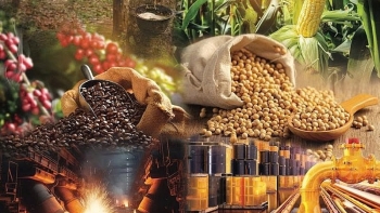 Thị trường hàng hóa: Nhóm hàng năng lượng, nông sản chìm trong sắc đỏ
