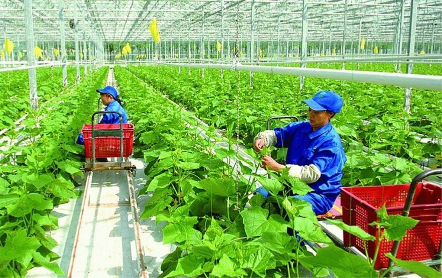 ADB mở rộng hỗ trợ an ninh lương thực châu Á - Thái Bình Dương lên 40 tỷ USD