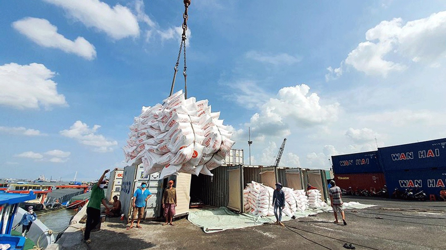 Ngày 6/5: Giá gạo xuất khẩu tiếp đà tăng, lúa tươi vững giá
