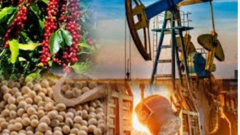 Thị trường hàng hóa: Nông sản đỏ lửa, giá dầu chạm đáy 4 năm