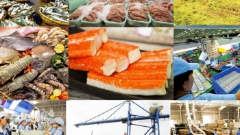 Việt Nam thu về hơn 140 tỷ USD từ xuất khẩu hàng hóa trong 4 tháng