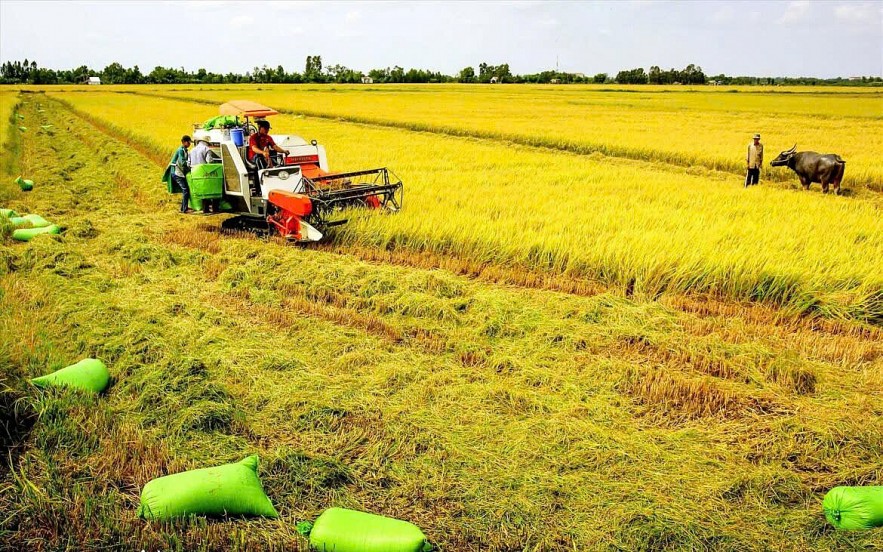 Miễn, giảm thuế đất nông nghiệp: Nâng cao sức cạnh tranh, đảm bảo an ninh lương thực