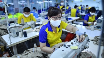 Phát triển kinh tế tư nhân: Cần sự liên kết giữa các thành phần kinh tế và cải cách thể chế