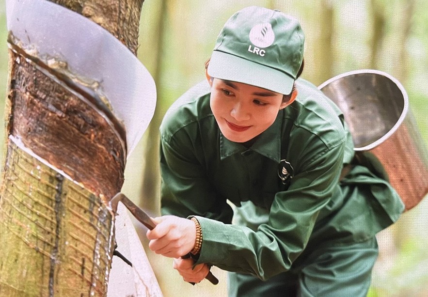 Ngày 8/5: Giá cao su trên các sàn giao dịch chủ chốt tăng giảm trái chiều