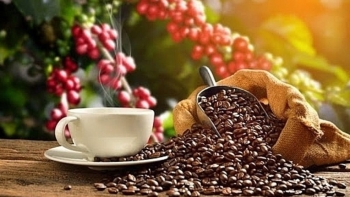 Ngày 10/5: Giá cà phê đảo chiều tăng, hồ tiêu duy trì ở mức cao