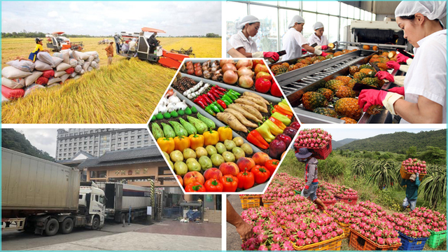Viet Nam safeguards agricultural production, export amid global trade uncertainties- Ảnh 1.