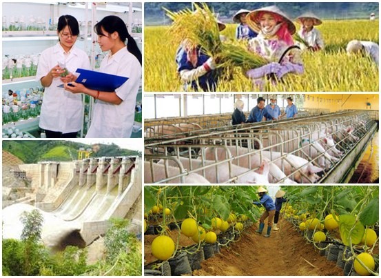 Tổng điều tra nông thôn, nông nghiệp năm 2025 trong 30 ngày