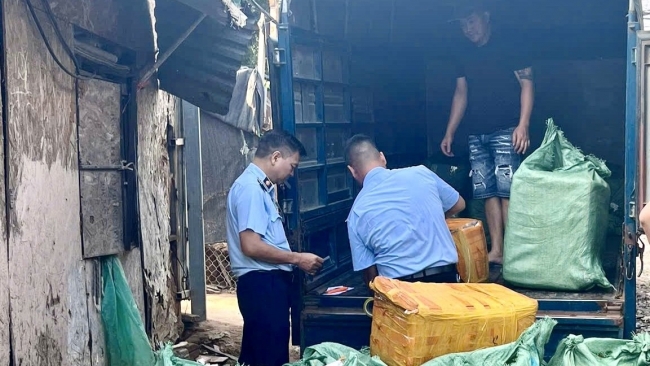 Hà Nội: Thu giữ 800kg tấn trứng gà non, tràng gà để điều tra xử lý