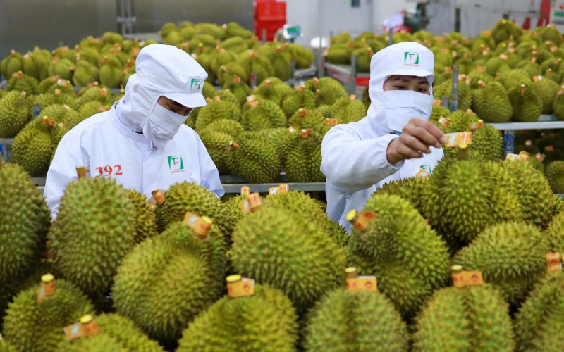 Nghị quyết 68: Lá chắn pháp lý, bệ phóng cho doanh nghiệp tư nhân