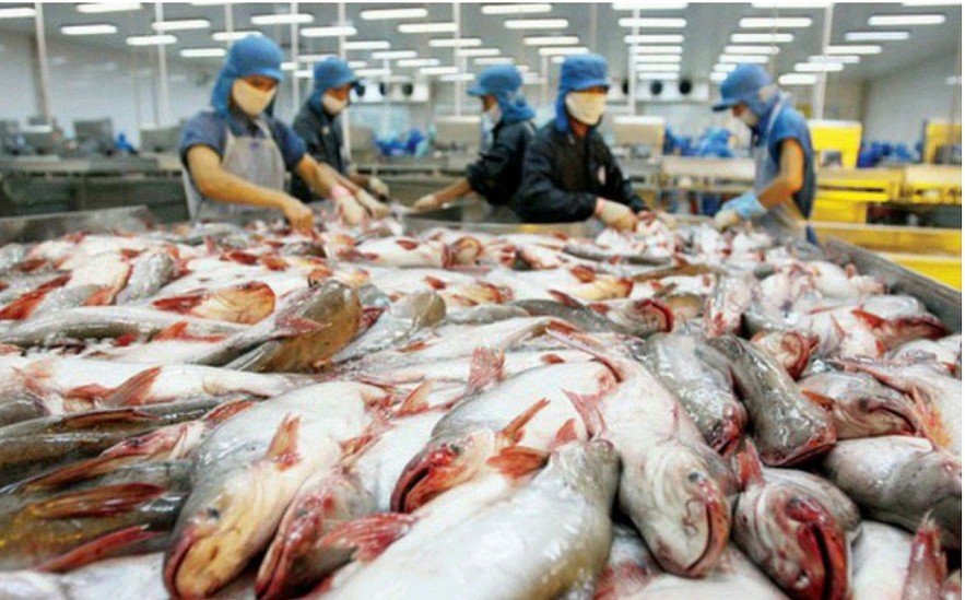 Doanh nghiệp Việt không nên chần chừ trong bối cảnh thuế quan với Hoa Kỳ