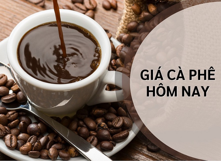 Ngày 17/5: Giá cà phê, giá tiêu trong nước tăng nhẹ, thế giới giảm