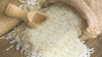 Ngày 20/5: Giá gạo nguyên liệu tại Đồng bằng sông Cửu Long đảo chiều giảm, lúa chững giá
